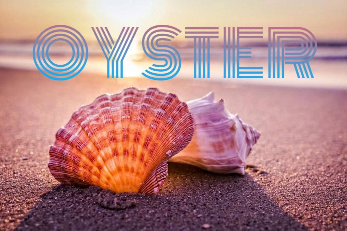 آلبوم کاغذدیواری اویستر OYSTER