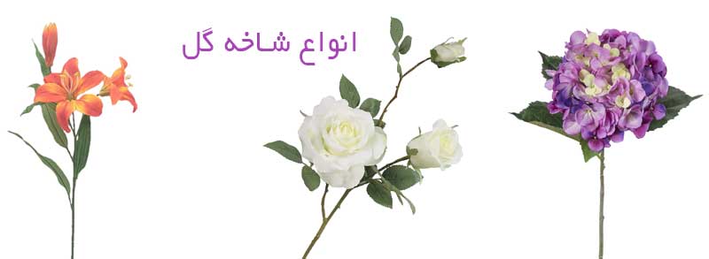 درختچه وارداتی