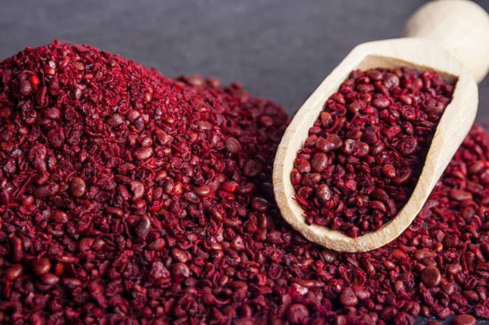 دوستی دیرینه سماق و کباب