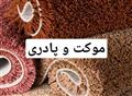 موکت و پادری
