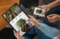 Galaxy Tab A9+ سامسونگ اکنون که به پایین ترین قیمت خود رسیده است، مقرون به صرفه تر است