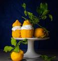 شش دستور العمل سریع و آسان برای لیمو