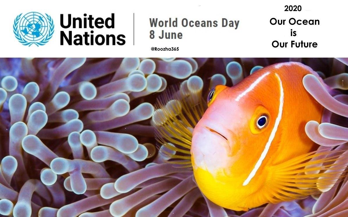 روز جهانی اقیانوس ها ( 8ژوئن)